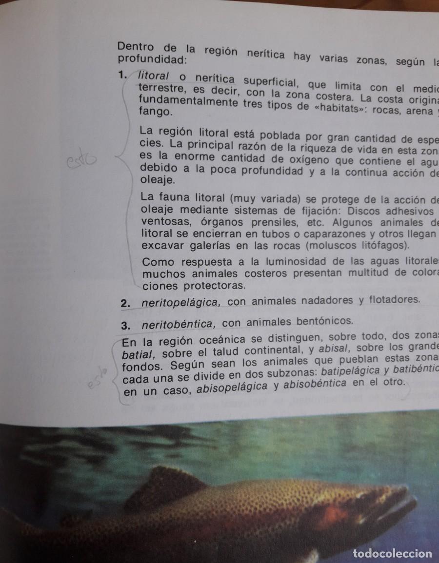 Libros de segunda mano: Ciencias Naturales. 1 BUP. - Foto 5