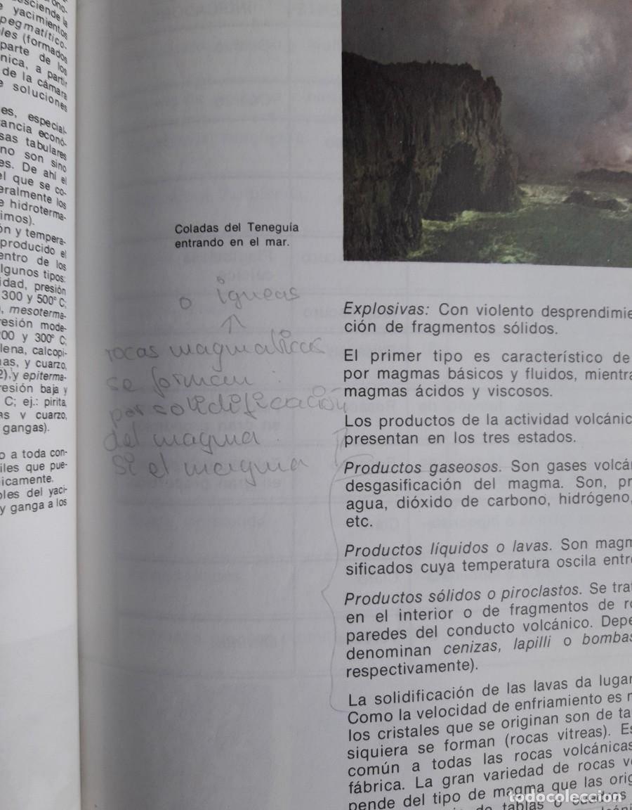 Libros de segunda mano: Ciencias Naturales. 1 BUP. - Foto 6