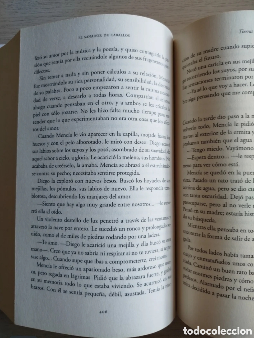 Libros de segunda mano: El sanador de caballos de Giner Soler - Foto 3