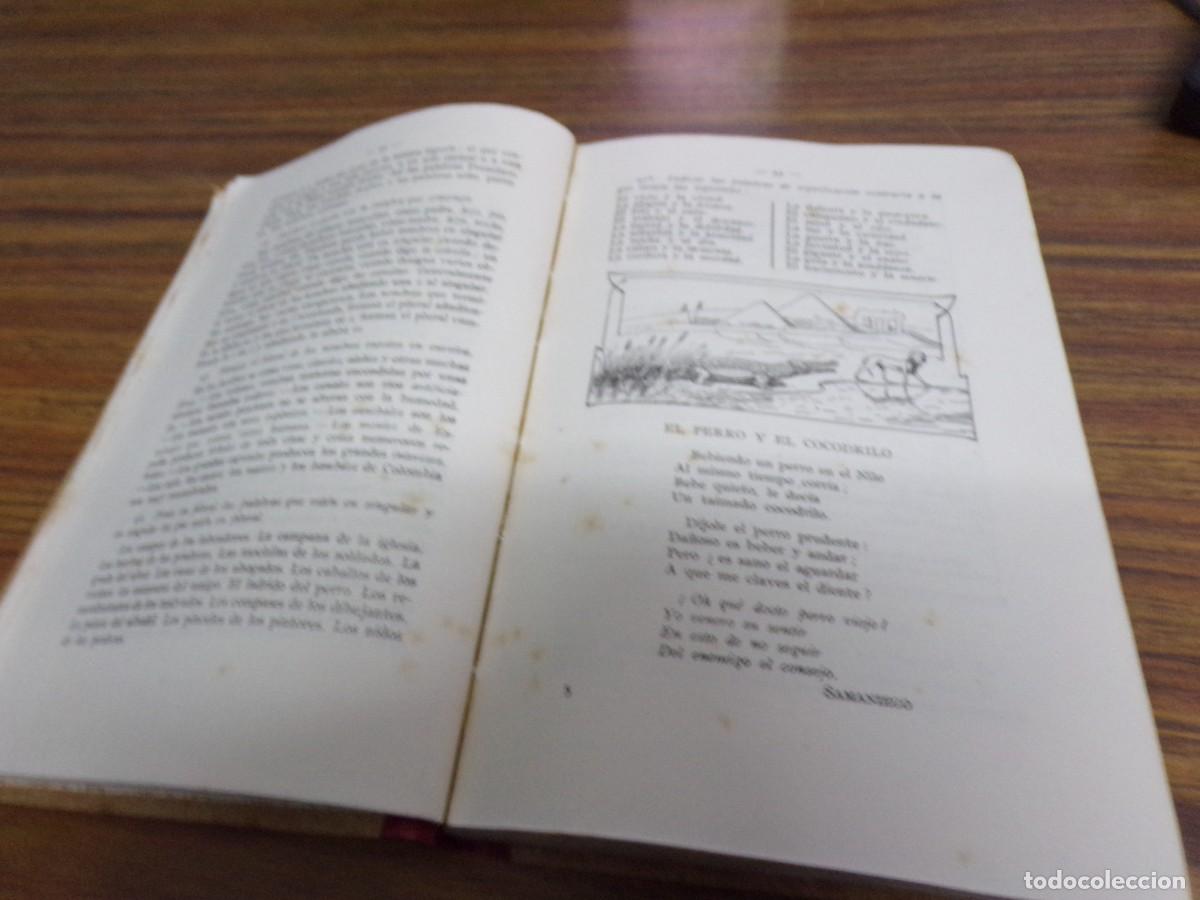 Libros de segunda mano: gram&aacute;tica espa&ntilde;ola segundo grado 1941 editorial luis vives - Foto 4
