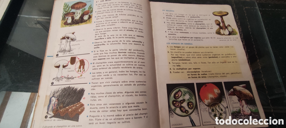 Libros de segunda mano: Libro escolar , Ciencias Naturales 1&deg; - Foto 4