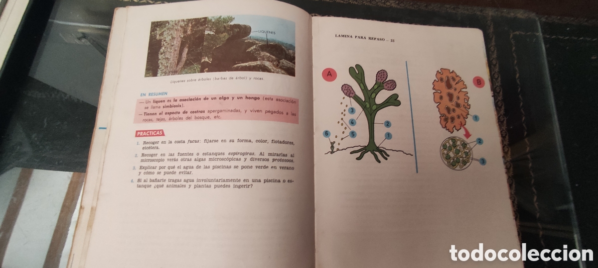 Libros de segunda mano: Libro escolar , Ciencias Naturales 1&deg; - Foto 5