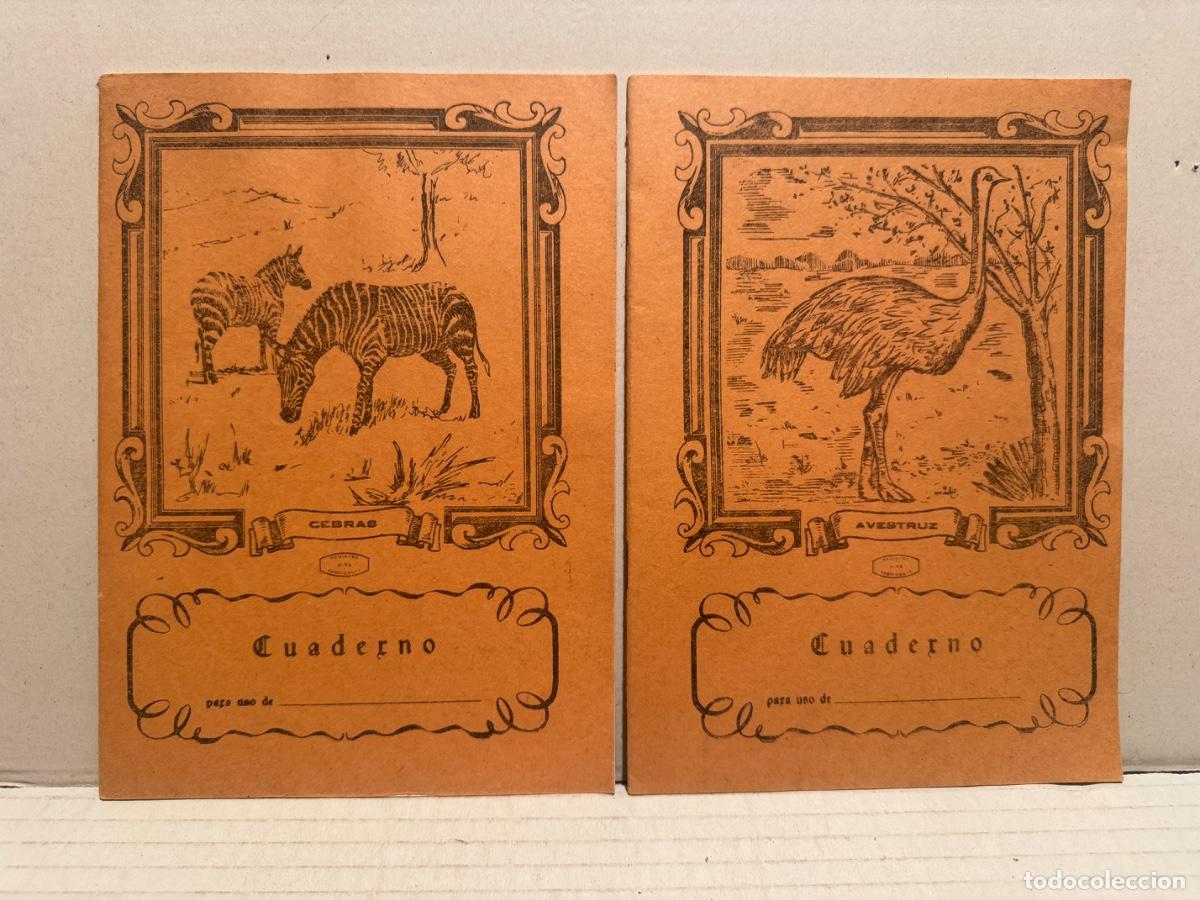 Libros de segunda mano: ANTIGUO CUADERNO CEBRA Y AVESTRUZ - cuadros