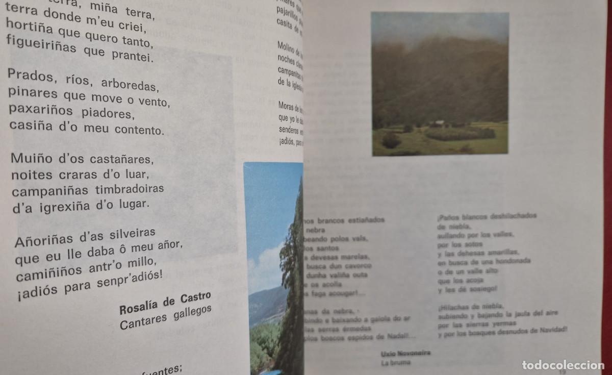 Libros de segunda mano: Con el viento - 4&ordm; y 5&ordm; E.G.B - Casals - 1983 - Foto 5