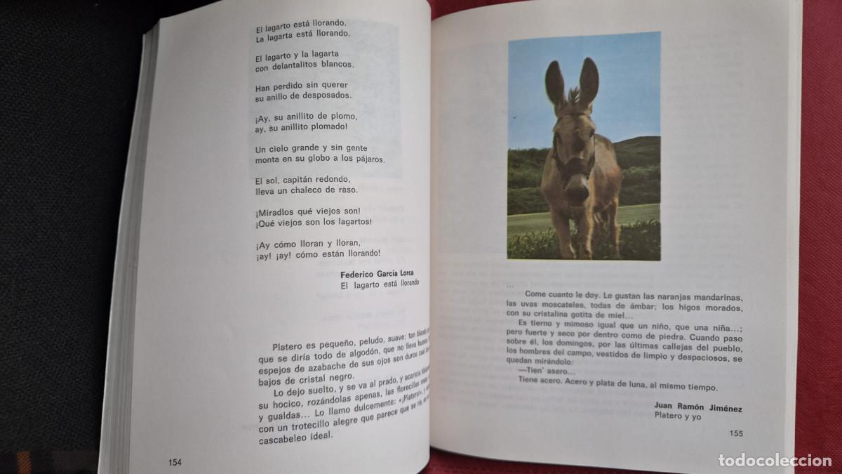 Libros de segunda mano: Con el viento - 4&ordm; y 5&ordm; E.G.B - Casals - 1983 - Foto 7