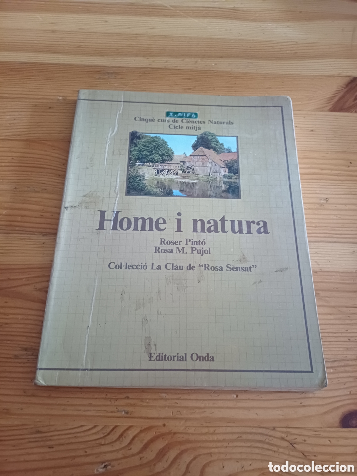 Libros de segunda mano: Home i natura La Clau de Rosa Sensat Pint&oacute; Pujol Ci&egrave;ncies Naturals Escola 1982