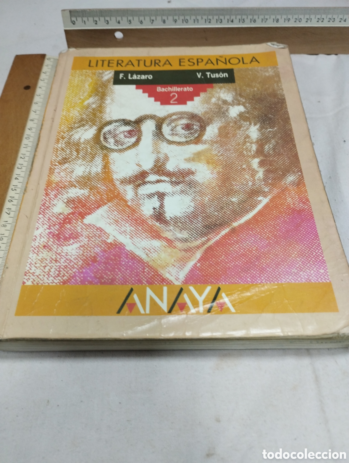 Libros de segunda mano: Literatura espa&ntilde;ola. Editorial Anaya, 1994