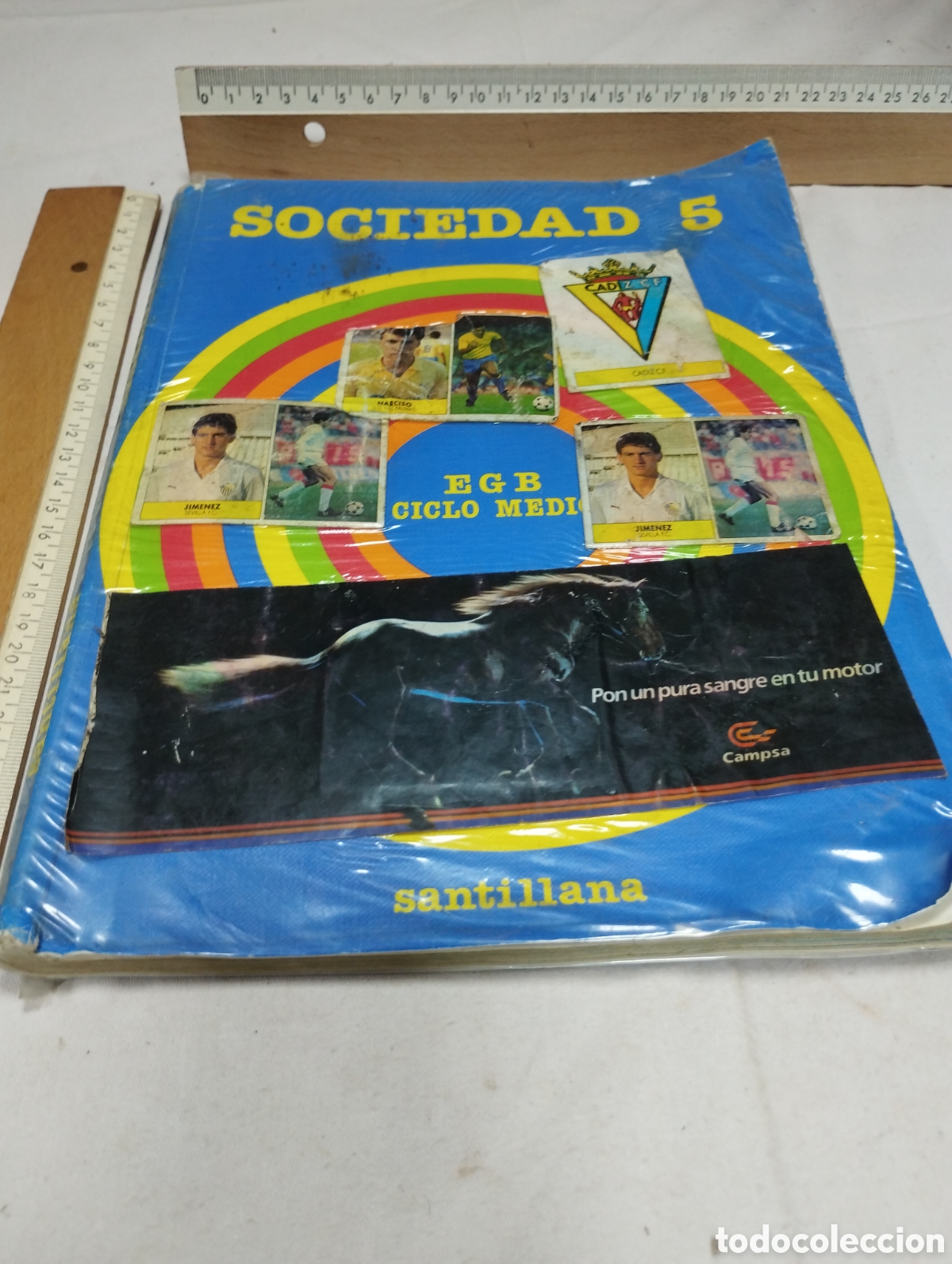 Libros de segunda mano: Sociedad 5&deg; EGB. Editorial Santillana, 1982