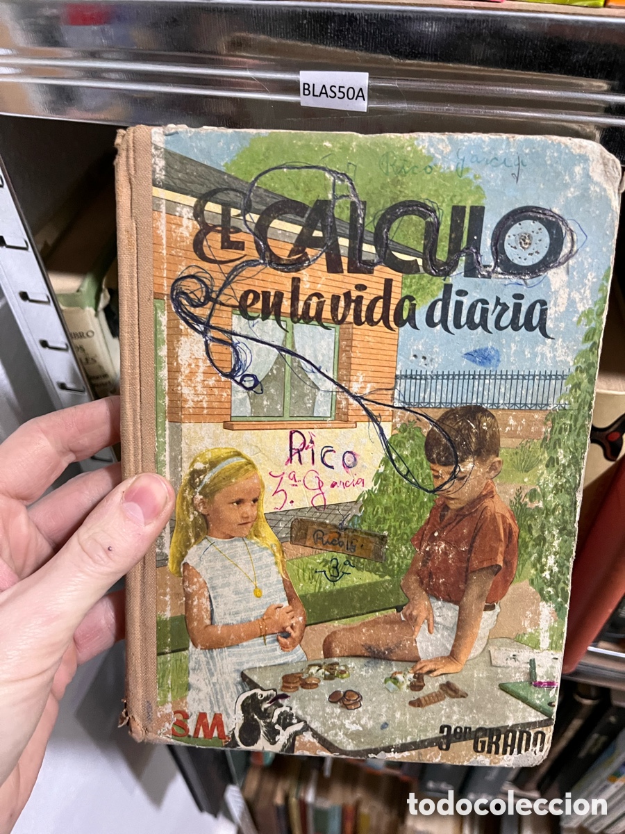 Libros de segunda mano: Blas50A EL C&Aacute;LCULO EN LA VIDA DIARIA. 3 TERCER GRADO. VICENTE HERNANDO ELORRIETA. EDICIONES S.M.