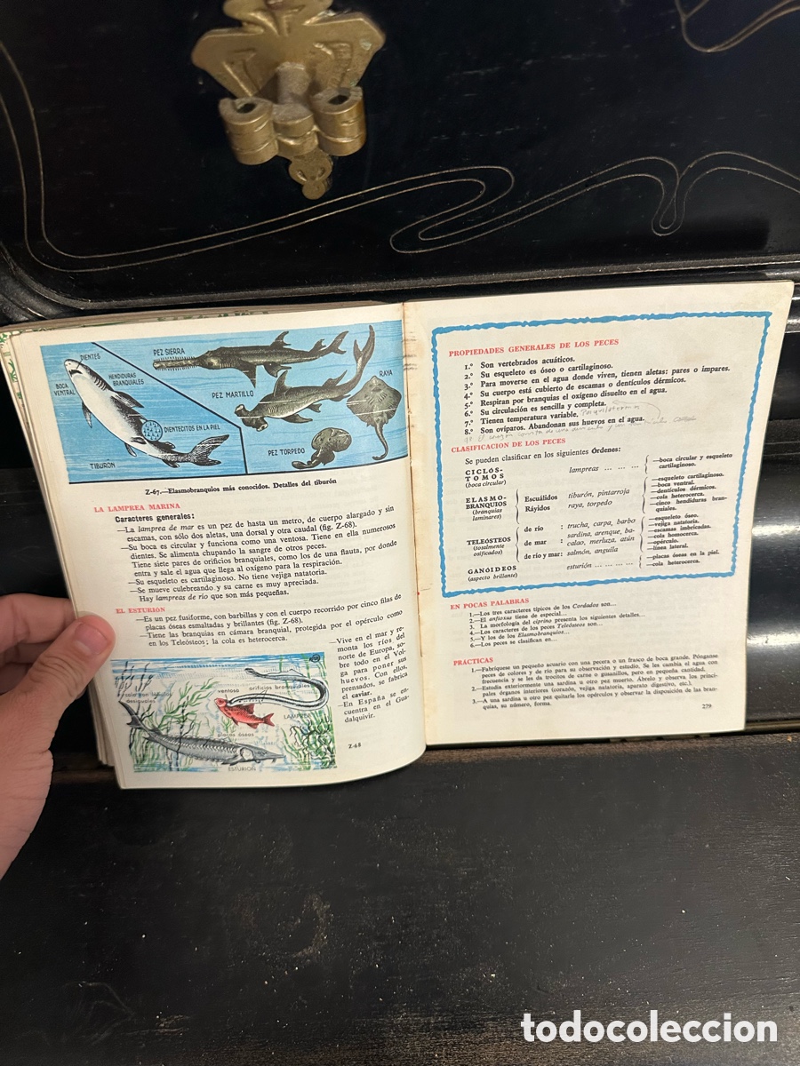 Libros de segunda mano: libro ejemplar antiguo de Ciencias Naturales - Foto 10