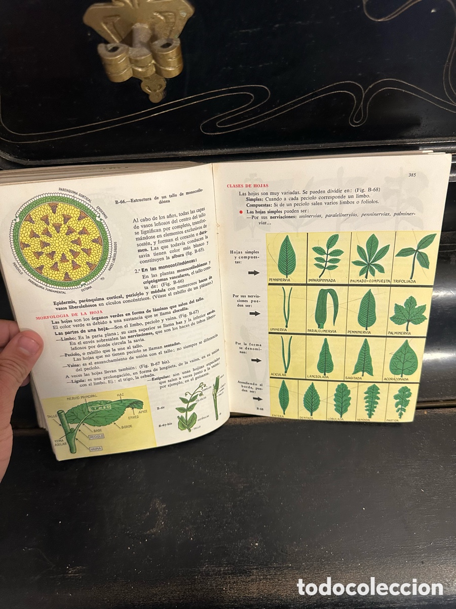 Libros de segunda mano: libro ejemplar antiguo de Ciencias Naturales - Foto 11