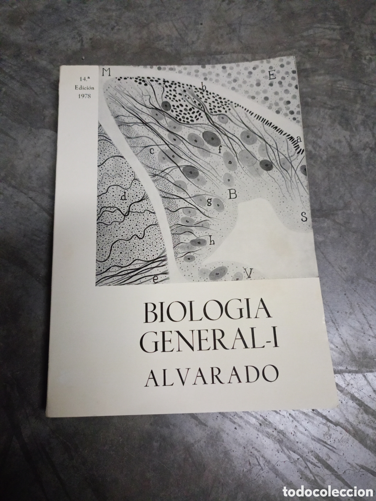 Libros de segunda mano: Libro - Biolog&iacute;a General Tomo I (1974) Alvarado