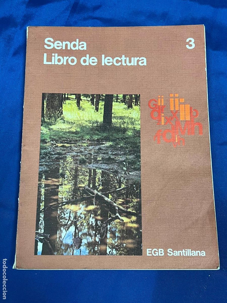 Libros de segunda mano: SENDA LIBRO DE LECTURA 3 CURSO