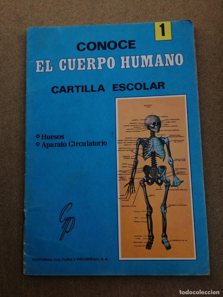 Libros de segunda mano: CONOCE EL CUERPO HUMANO (NUMERO 1) CARTILLA ESCOLAR