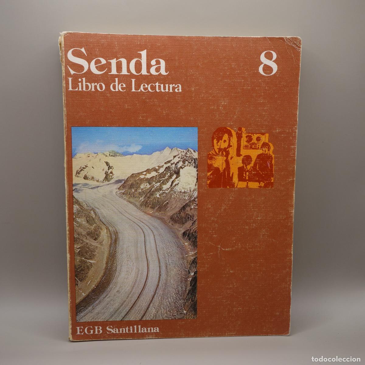 Libros de segunda mano: SENDA LIBRO DE LECTURA 8