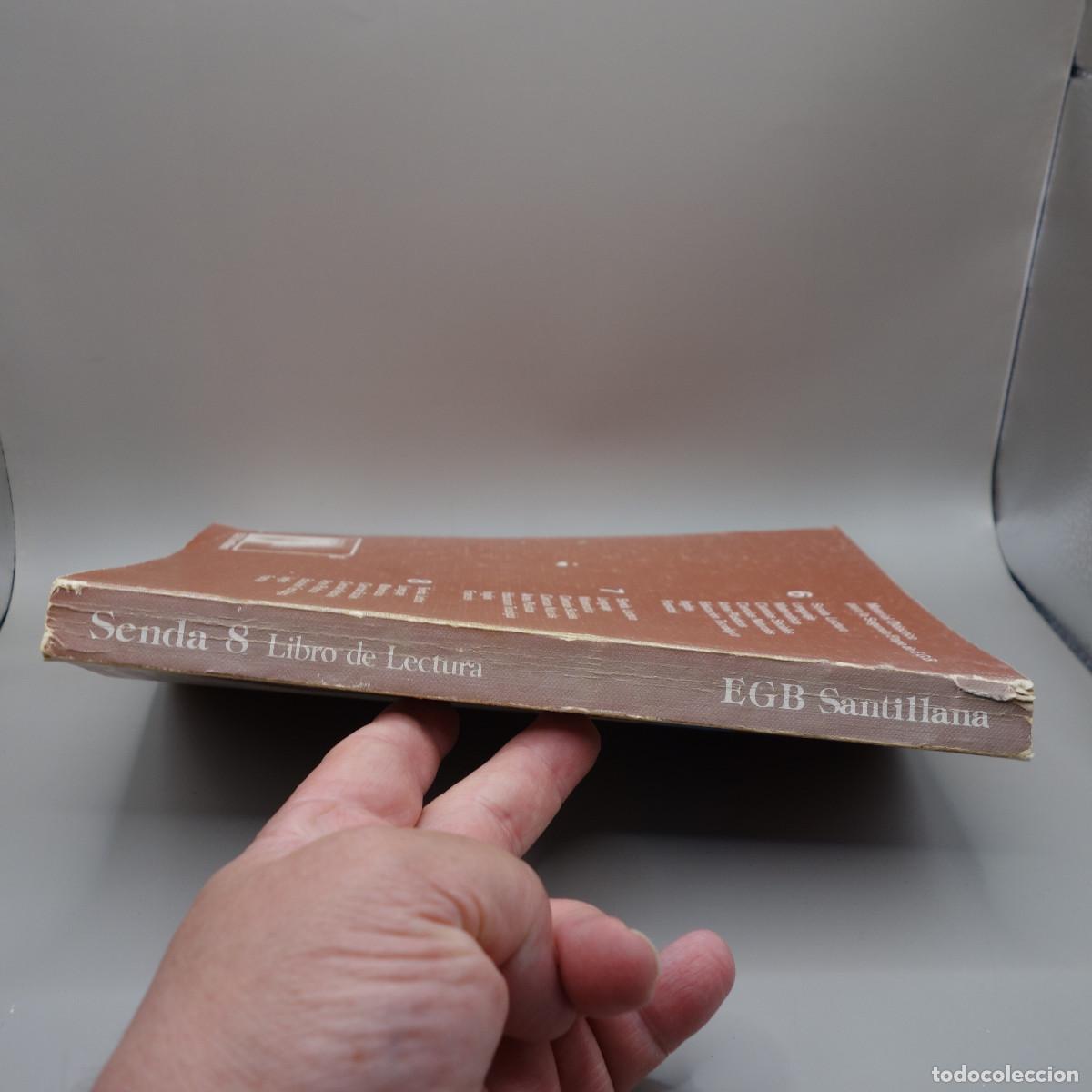 Libros de segunda mano: SENDA LIBRO DE LECTURA 8 - Foto 3