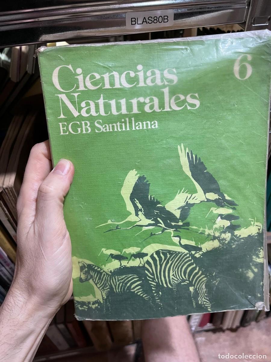 Libros de segunda mano: BLAS80B &mdash; Ciencias Naturales 6. EGB Santillana.