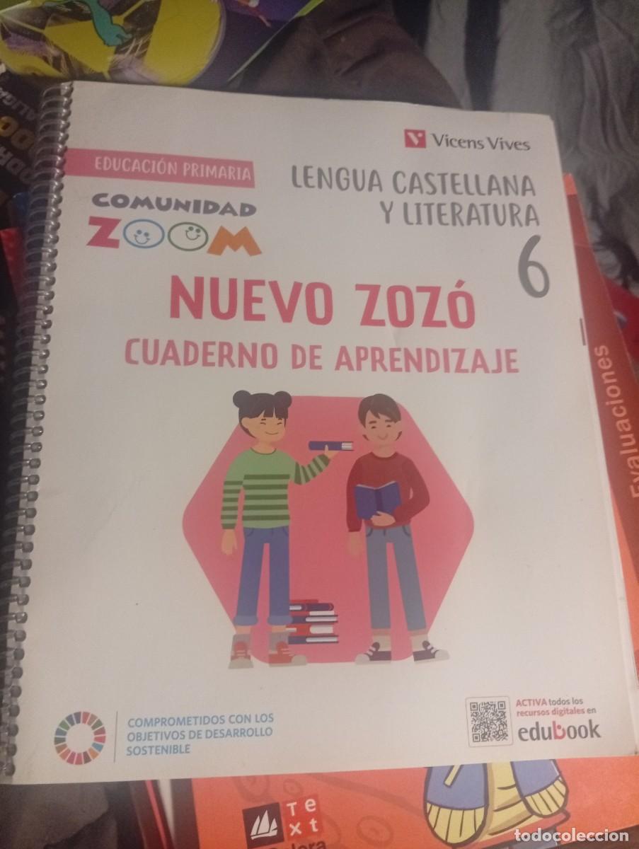 Livros em segunda m&atilde;o: Lengua castellana y literatura 6