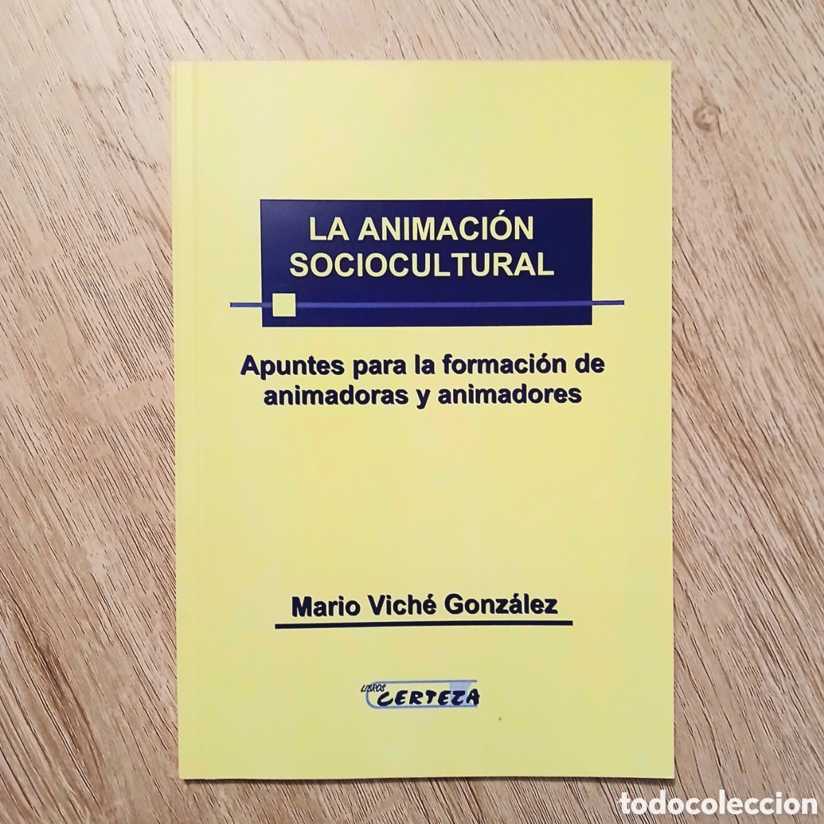 Gebrauchte B&uuml;cher: La Animaci&oacute;n Sociocultural. Apuntes para la formaci&oacute;n de animadoras y animadores