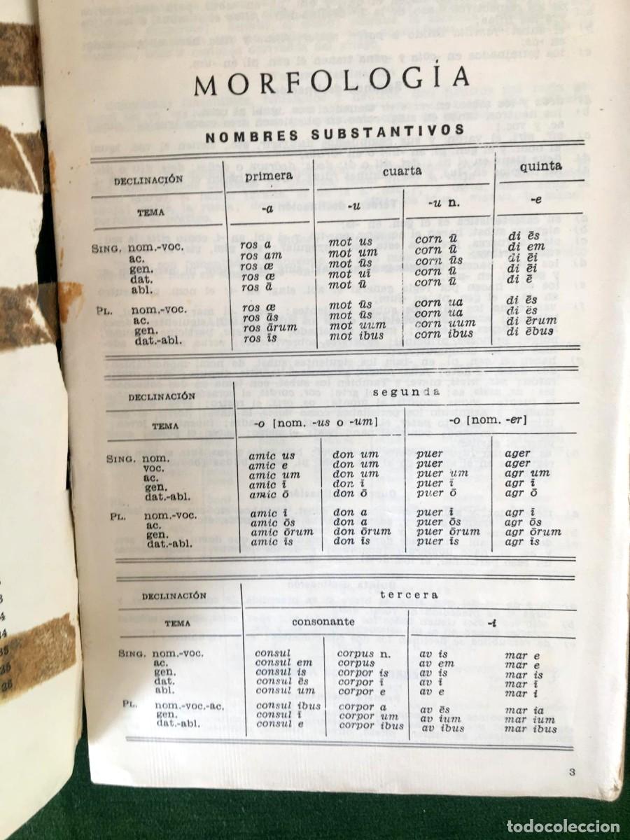 Libros de segunda mano: Lote de dos libros de lat&iacute;n de BUP y diccionario con ap&eacute;ndice de gram&aacute;tica - Foto 14