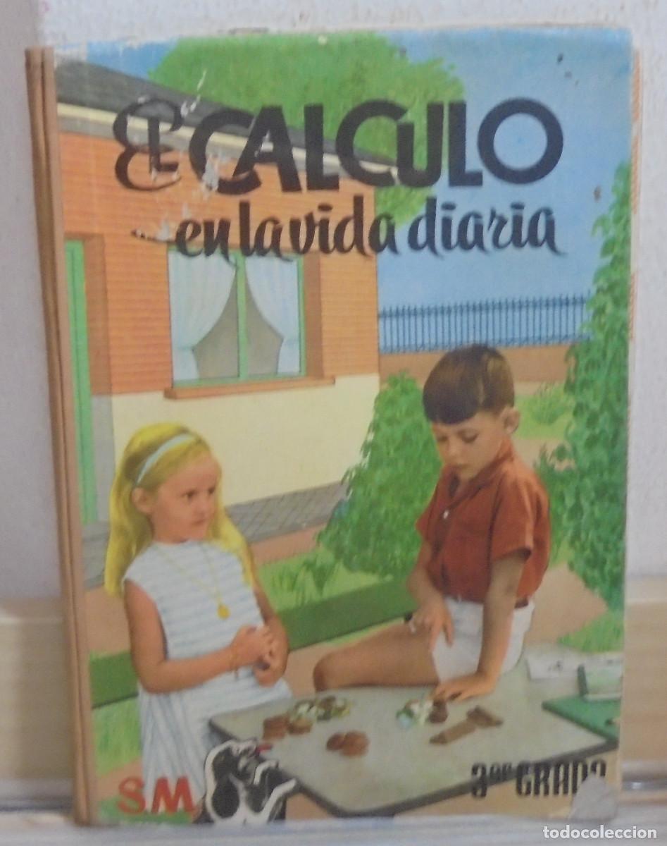 Libri di seconda mano: El c&aacute;lculo en la vida diaria. Vicente Hernando Elorrieta, Jos&eacute; Luis Ota&ntilde;o Ech&aacute;niz. Ediciones SM