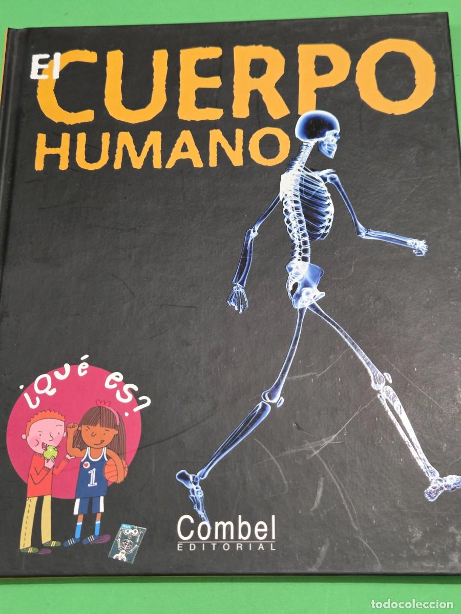 Libros de segunda mano: &rdquo;&rdquo;EL CUERPO HUMANO &iquest;&iquest;QU&Egrave; ES??...COMBEL EDITORIAL...2007... - Foto 3