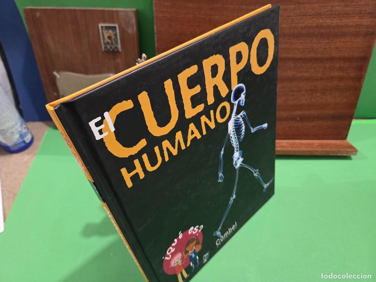 Libros de segunda mano: &rdquo;&rdquo;EL CUERPO HUMANO &iquest;&iquest;QU&Egrave; ES??...COMBEL EDITORIAL...2007... - Foto 13