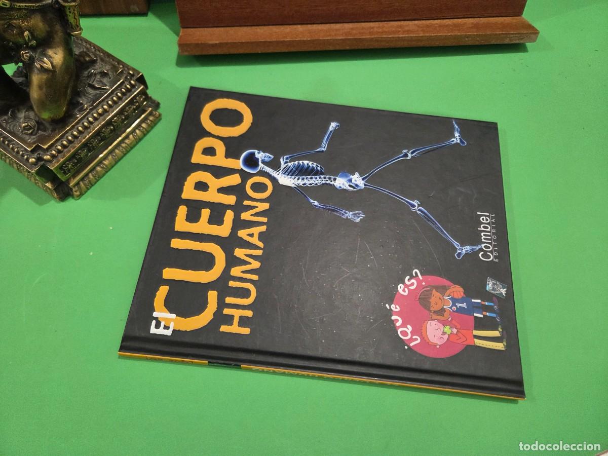 Libros de segunda mano: &rdquo;&rdquo;EL CUERPO HUMANO &iquest;&iquest;QU&Egrave; ES??...COMBEL EDITORIAL...2007... - Foto 14