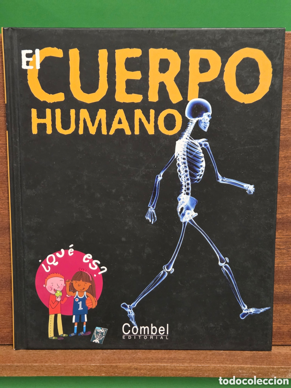 Libros de segunda mano: &rdquo;&rdquo;EL CUERPO HUMANO &iquest;&iquest;QU&Egrave; ES??...COMBEL EDITORIAL...2007...