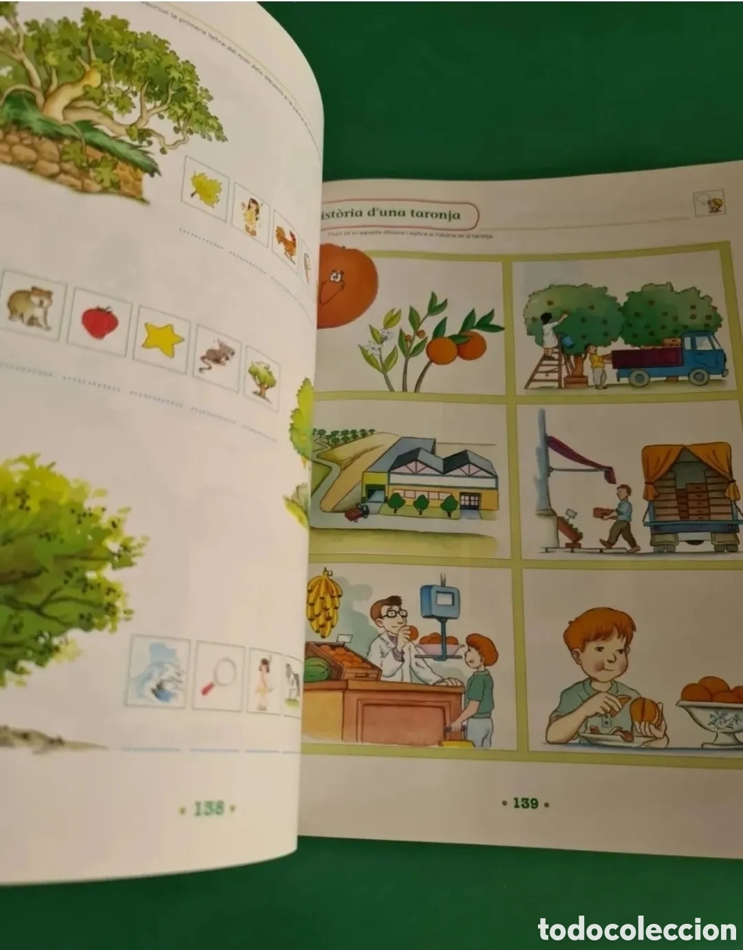 Libros de segunda mano: Lote de libros de Educaci&oacute; primaria, en catal&aacute;n - Foto 7