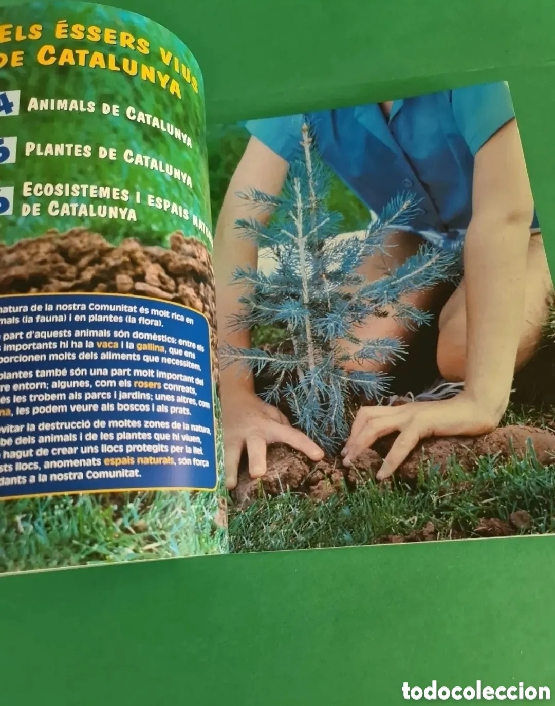 Libros de segunda mano: Lote de libros de Educaci&oacute; primaria, en catal&aacute;n - Foto 20