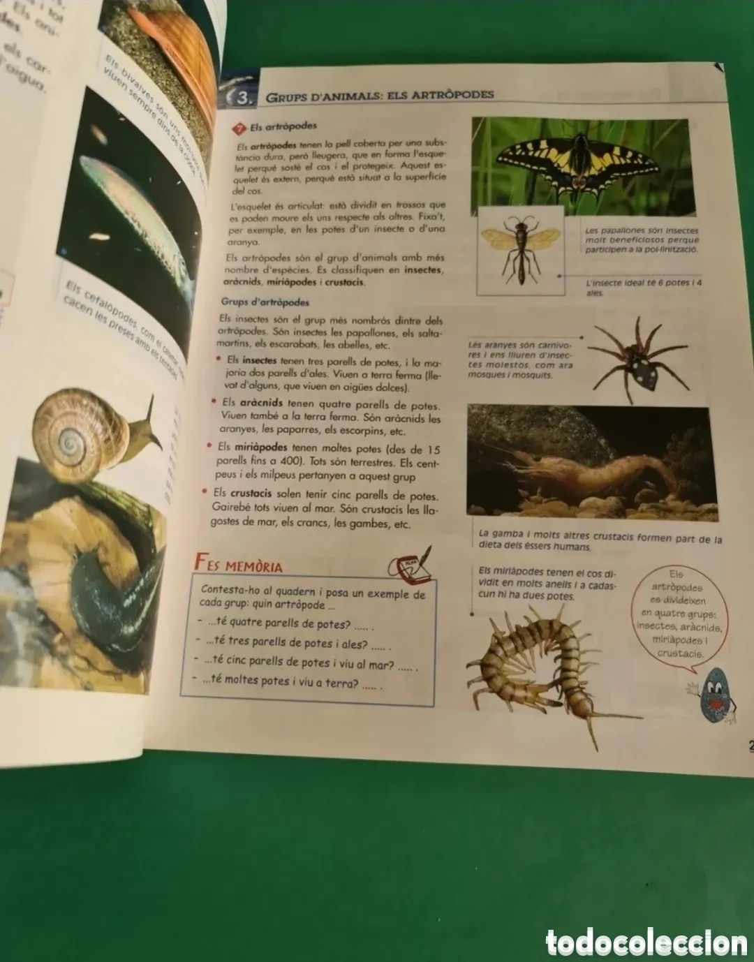 Libros de segunda mano: Lote de libros de Educaci&oacute; primaria, en catal&aacute;n - Foto 25