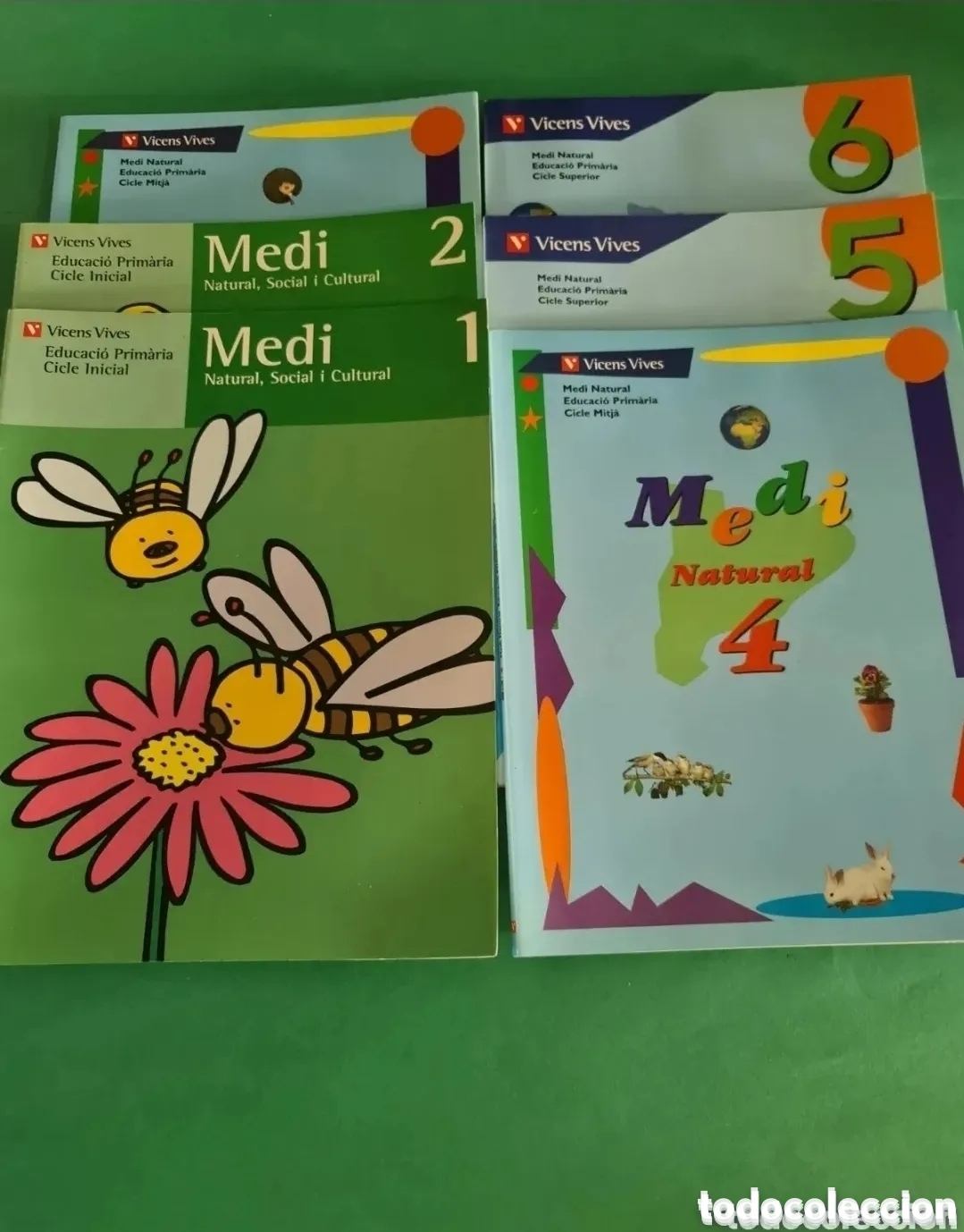 Gebrauchte B&uuml;cher: Lote de libros de Educaci&oacute; primaria, en catal&aacute;n