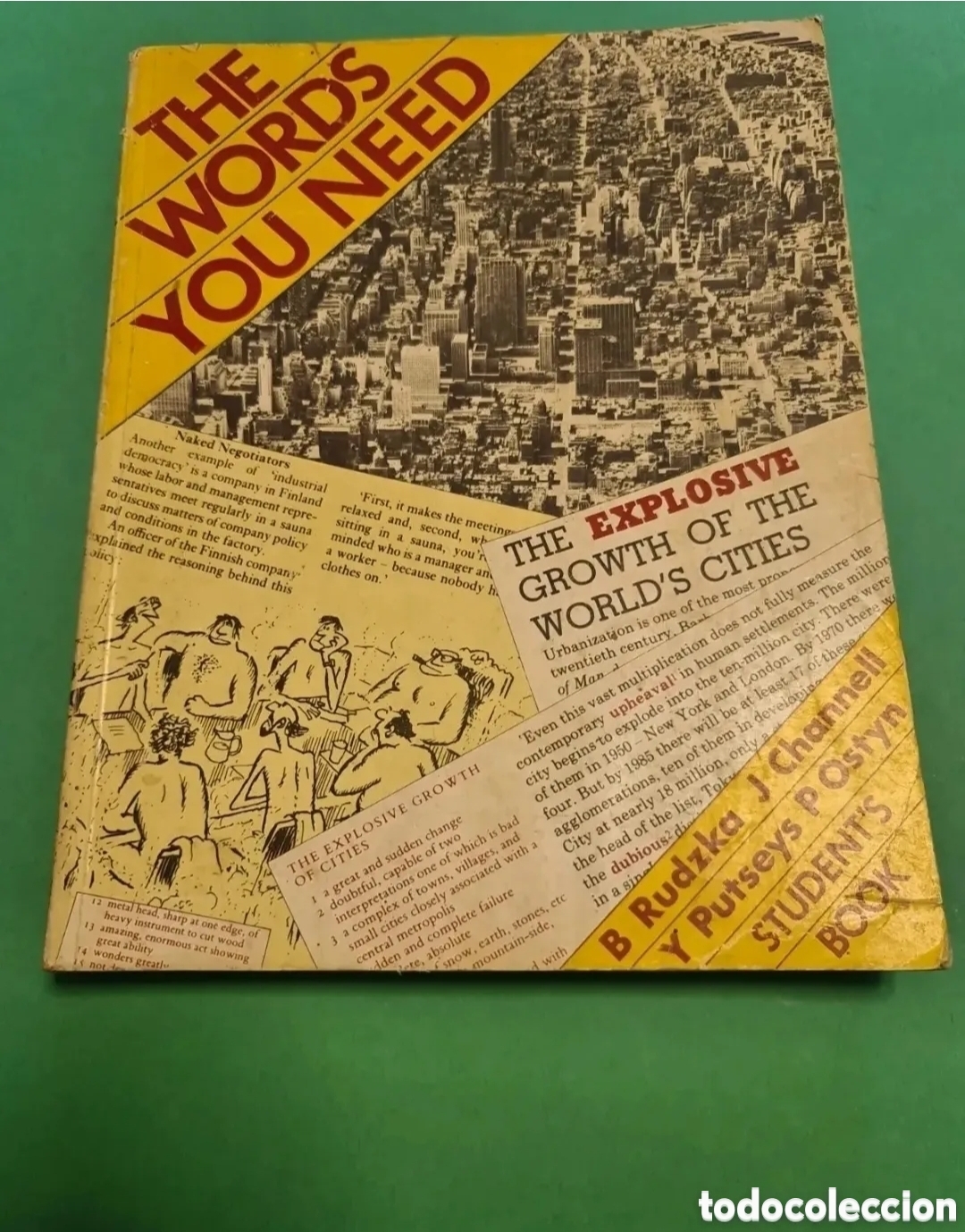 Livros em segunda m&atilde;o: Libro The words you need.