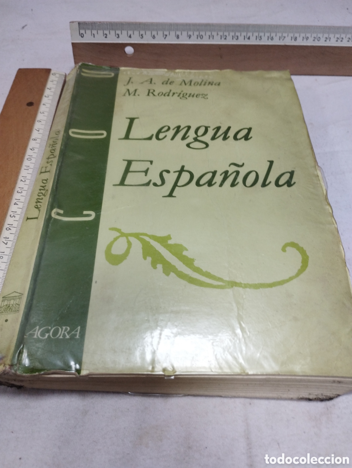 Libros de segunda mano: Lengua espa&ntilde;ola. Editorial &Aacute;gora, 1988