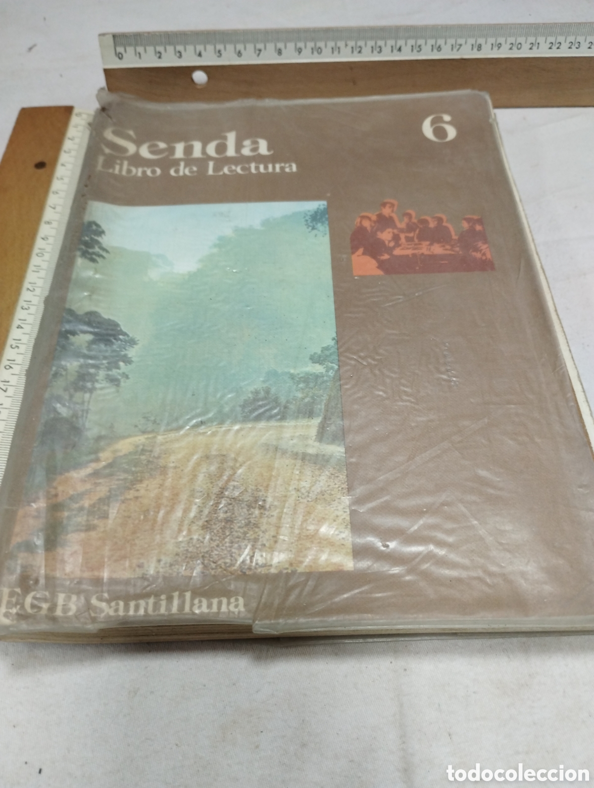 Libros de segunda mano: Senda 6, libro de lectura. EGB. Editorial Santillana, 1985