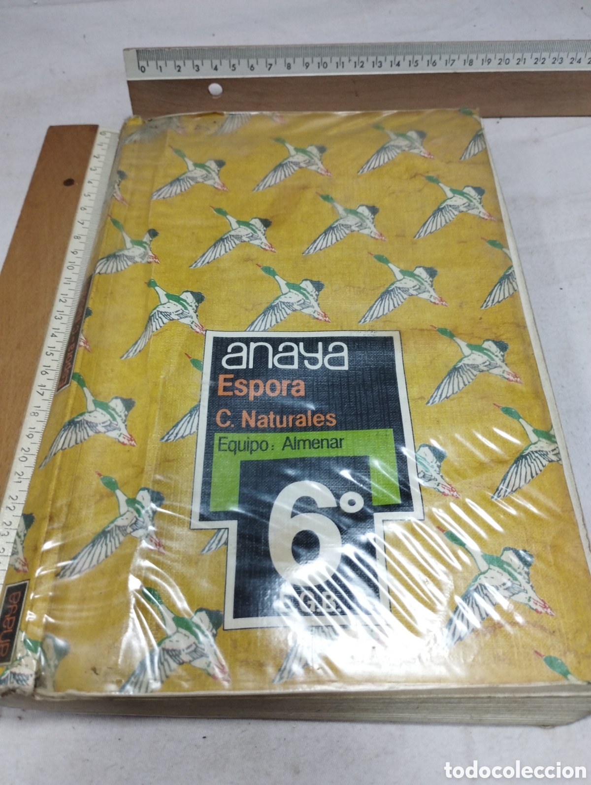 Libros de segunda mano: Espora. 6&deg;EGB. Editorial Anaya, 1984