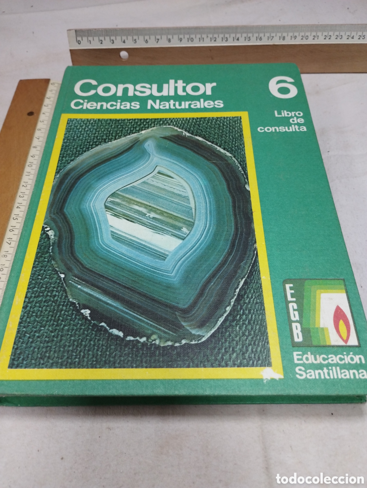 Libros de segunda mano: Consultor ciencias naturales 6. EGB. Editorial Santillana, 1973