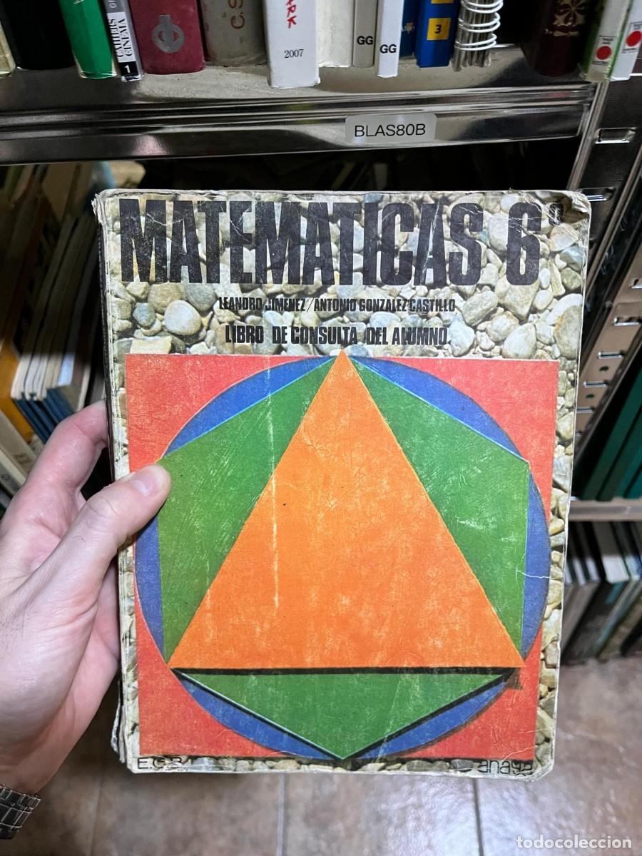 Libros de segunda mano: BLAS80B - Matem&aacute;ticas 6. Libro de consulta del alumno - Leandro Jim&eacute;nez / Antonio Gonz&aacute;lez Castillo