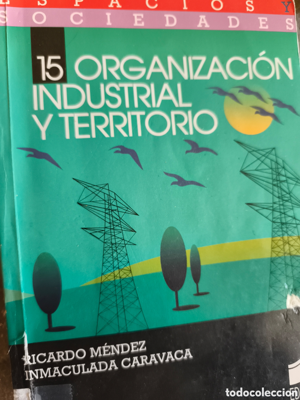 Gebrauchte B&uuml;cher: Organizaci&oacute;n industrial y territorio Ricardo M&eacute;ndez Inmaculada Caravaca