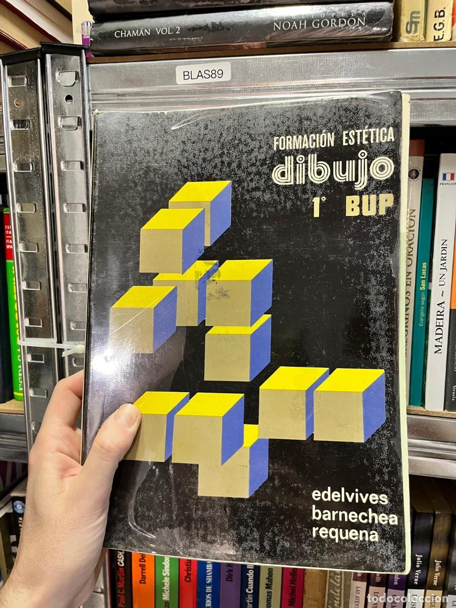 Libros de segunda mano: BLAS89 - Formaci&oacute;n Est&eacute;tica: Dibujo 1.&ordm; BUP &mdash; Barnechea, Requena. Edelvives.