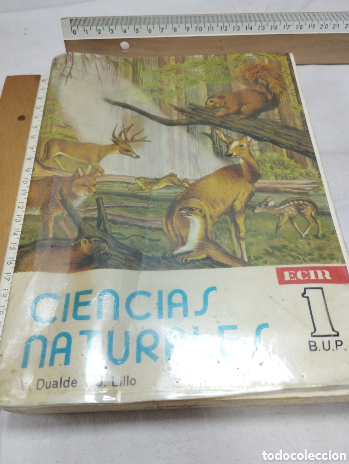 Libros de segunda mano: Ciencias naturales. 1&deg; de BUP. Editorial ECIR, 1984
