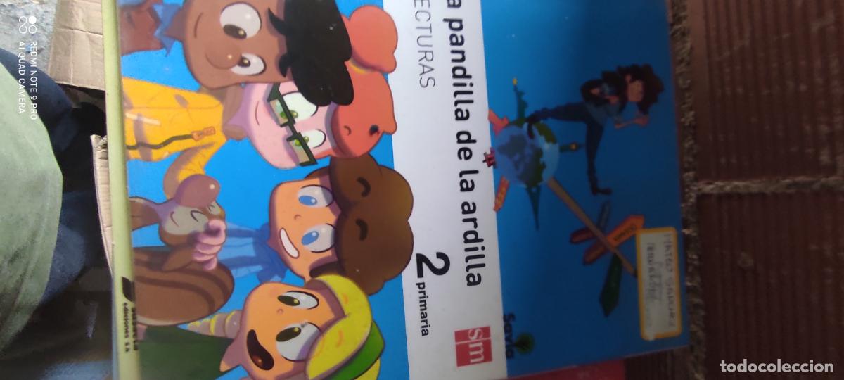 Libros de segunda mano: LA PANDILLA DE LA ARDILLA. LECTURAS. 2 PRIMARIA - VV.AA l