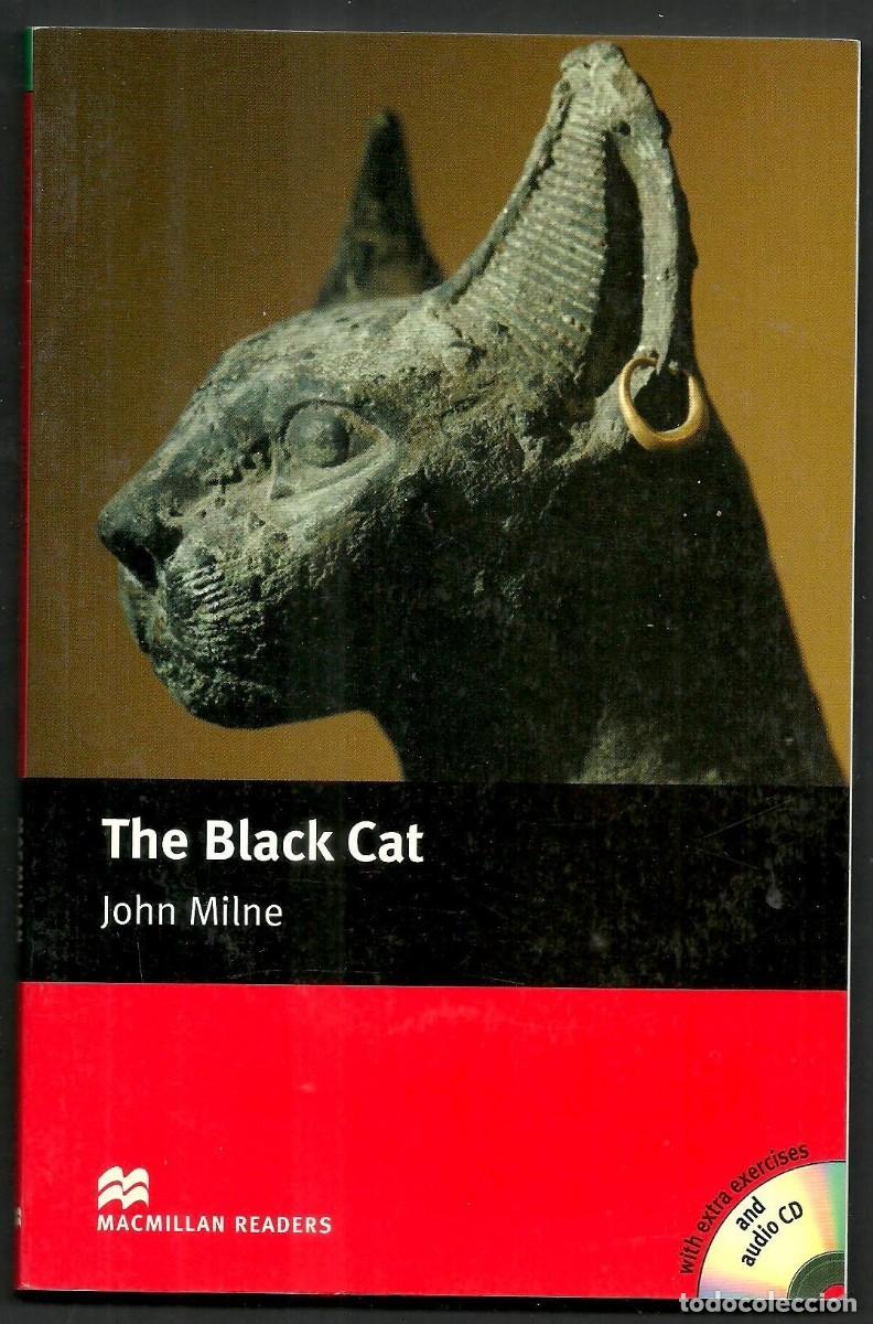 Libros de segunda mano: The Black Cat - Macmillan Readers 9781405076388