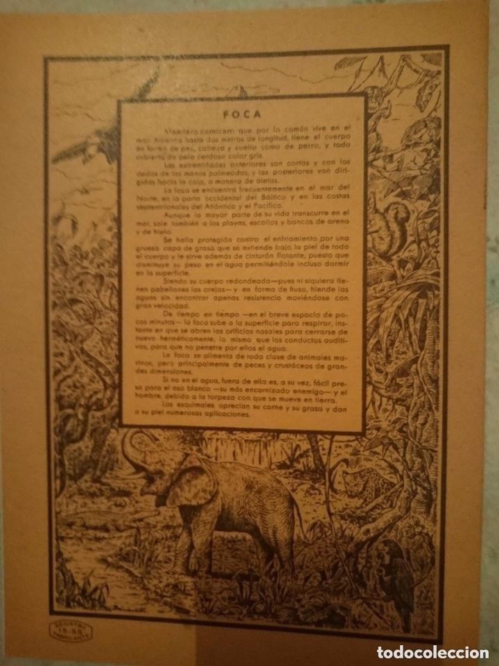 Libros de segunda mano: CUADERNO ESCOLAR - FOCA - SIN USAR - A&Ntilde;OS 80 - Foto 2