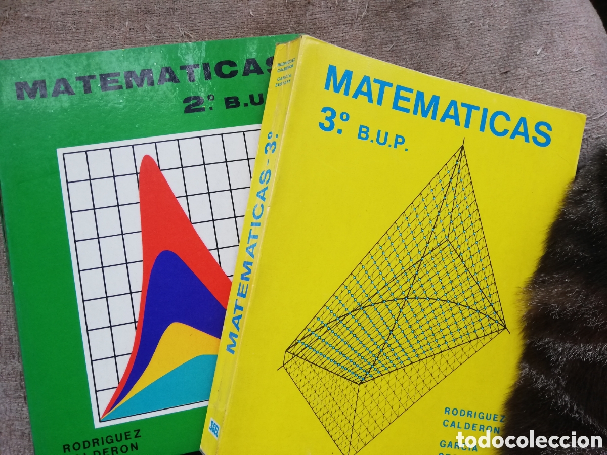 Libros de segunda mano: Matem&aacute;ticas 2&ordm; 2 y 3&ordm; 3 de B.U.P BUP. Rodr&iacute;guez Calder&oacute;n y Garc&iacute;a Sestafe. Editorial SGEL