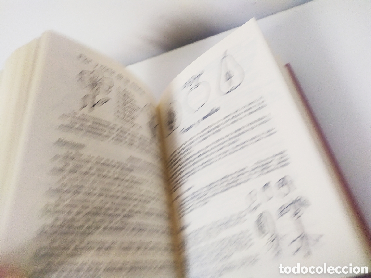 Libros de segunda mano: ENCICLOPEDIA ALVAREZ SEGUNDO Y TERCER GRADO EDITORIAL EDAF - Foto 25