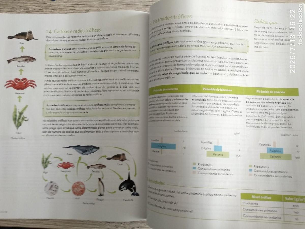 Libros de segunda mano: Biolox&iacute;a e xeolox&iacute;a 4 ESO editorial McGraw Hill - Foto 2