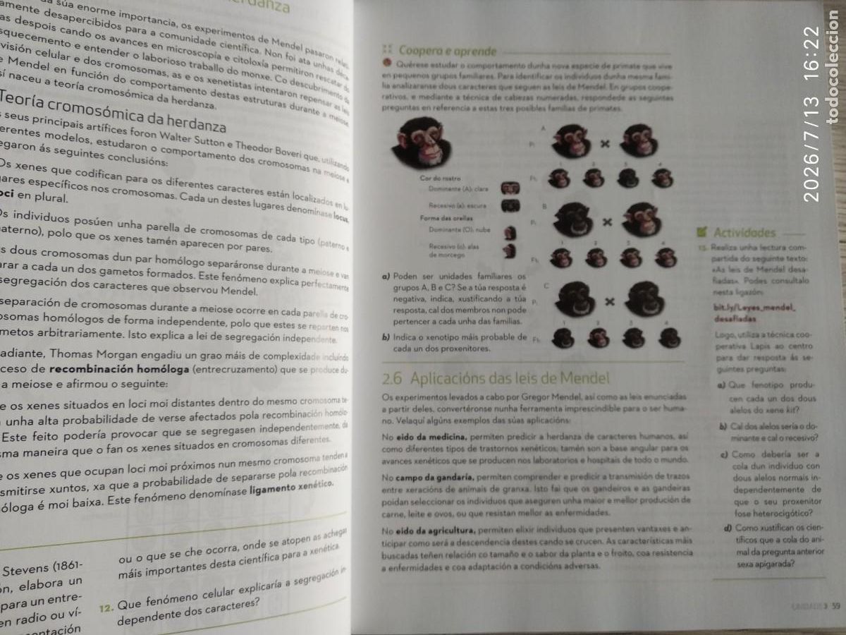 Libros de segunda mano: Biolox&iacute;a e xeolox&iacute;a 4 ESO editorial McGraw Hill - Foto 3