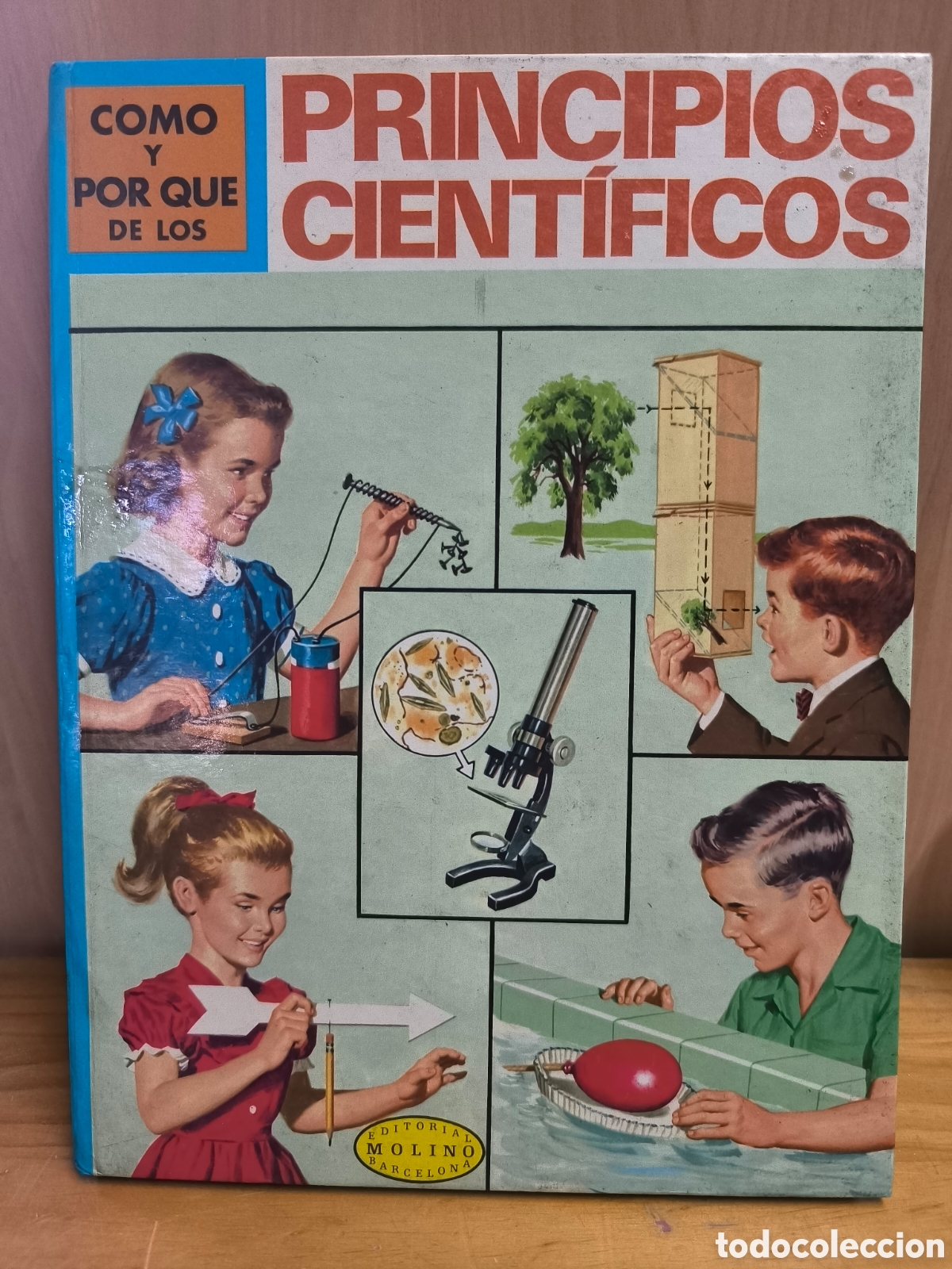 Libros de segunda mano: Como y porque de los principios cient&iacute;ficos 1974